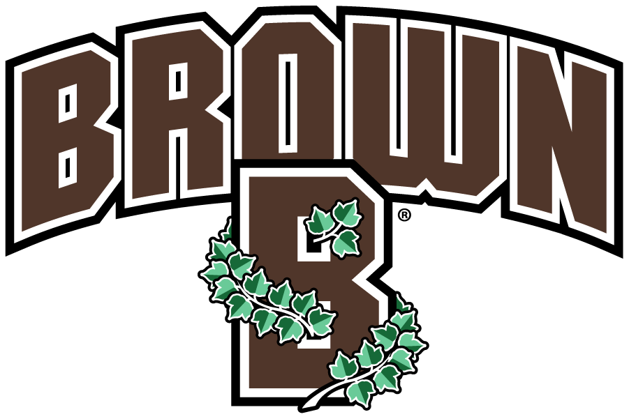 Brown Bears 2018-Pres Secondary Logo diy DTF decal sticker